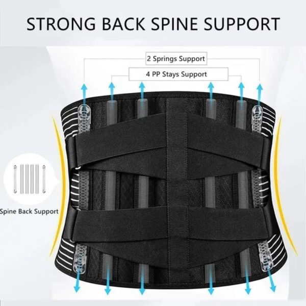 Back Support Belt - Image 3